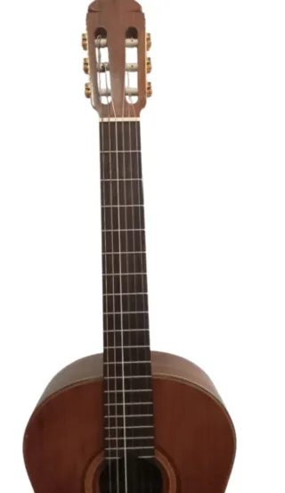 Guitarra Luthier Ryoji Matsuoka M50