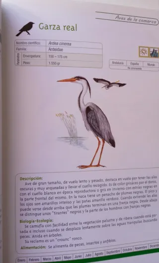 GUIA NATURAL DEL CORREDOR DE LA PLATA. Tomo II.