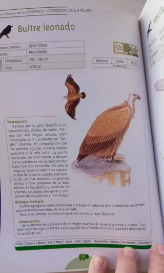 GUIA NATURAL DEL CORREDOR DE LA PLATA. Tomo II.