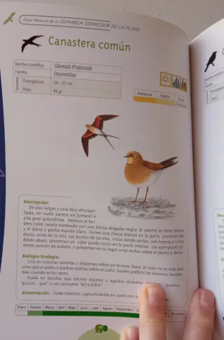 GUIA NATURAL DEL CORREDOR DE LA PLATA. Tomo II.