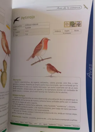 GUIA NATURAL DEL CORREDOR DE LA PLATA. Tomo II.