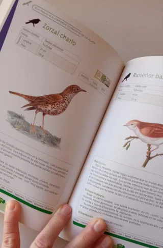 GUIA NATURAL DEL CORREDOR DE LA PLATA. Tomo II.