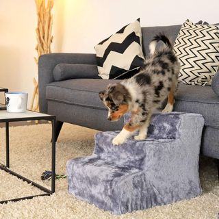 Escalera para mascotas Lionto (3 peldaños)