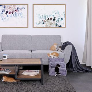 Escalera para mascotas Lionto (3 peldaños)