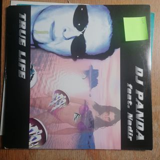 Lotto 10 Vinili Progressive Techno Dreams