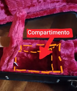 Guitarra Eléctrica Epiphone