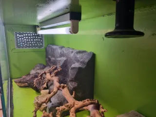 Terrario para reptiles