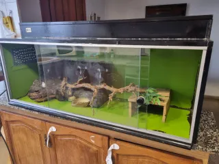 Terrario para reptiles