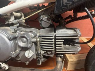 Pit Bike 150 Daytona