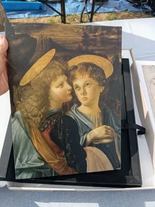 Leonardo 500 Serie Mantua