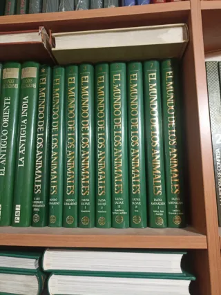 El mundo de los animales