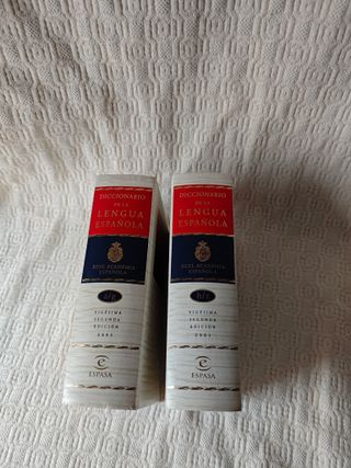 Diccionario español Real Academia Española (RAE)