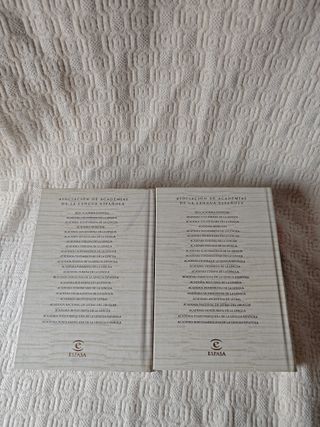 Diccionario español Real Academia Española (RAE)