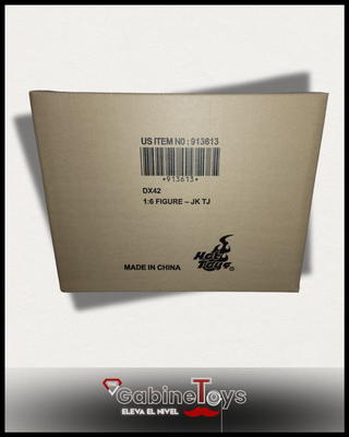 Hot Toys Joker 1/6 Movie Masterpiece DC