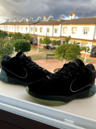 Nike LeBron 21 Zapatillas Baloncesto