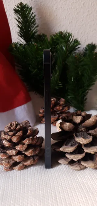 iPhone 13 128GB Negro