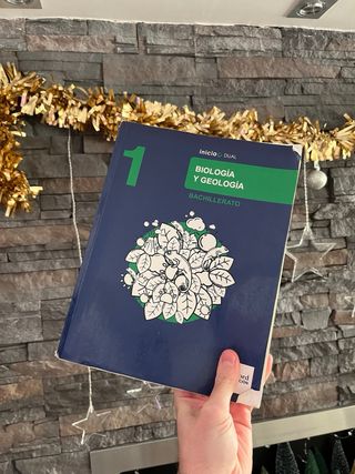 Libros escolares variados