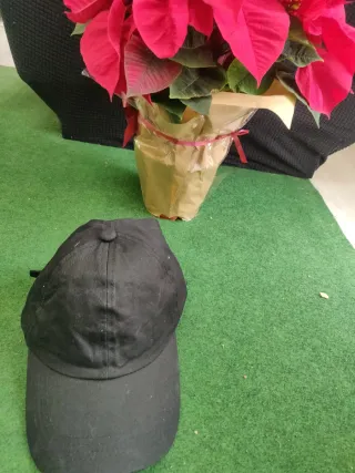 Gorra negra para mujer