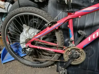MTB torpado 26 "