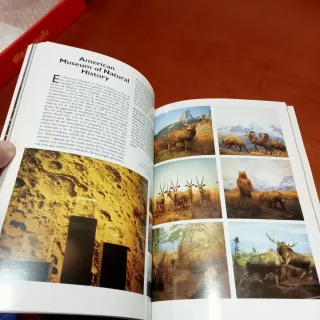 Nueva York, 11 de septiembre de 2001