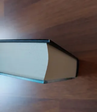 La dama del lago. Geralt de Rivia. The Witcher.