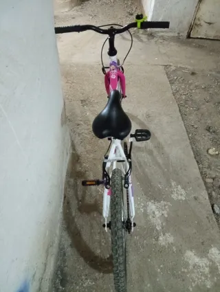 Bicicleta Niña 20 DENBIKE