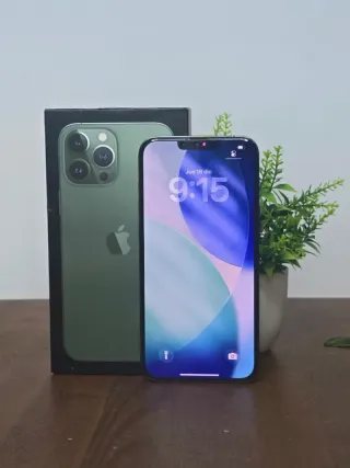 iPhone 13 Pro Max 100%