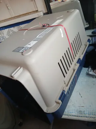 Guacal/Transportadora Mascotas Plástico Grande