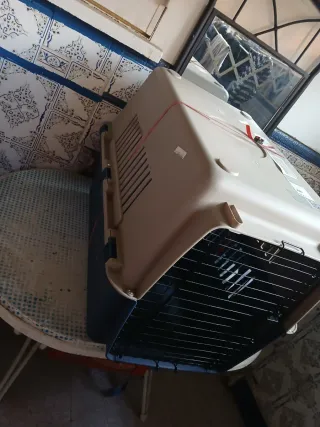 Guacal/Transportadora Mascotas Plástico Grande