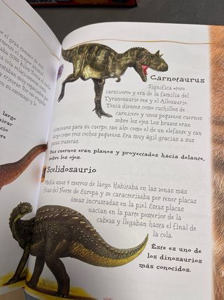 Lee cada día 365 historias de animales