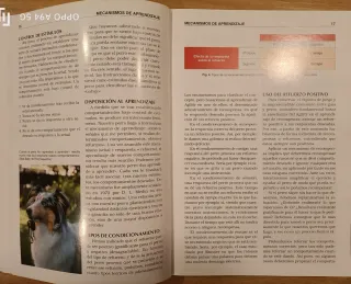 Libro Agility: Fundamentos, aprendizaje y competic