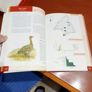 Atlas de las Aves invernantes de Madríd, 1999,2001