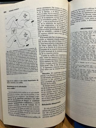 Anatomía de Gardner