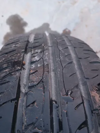 Neumático 175/65 R14 CHAMPION