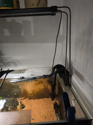 Filtro Eheim 2076 Profesional 3 (1700L/h)