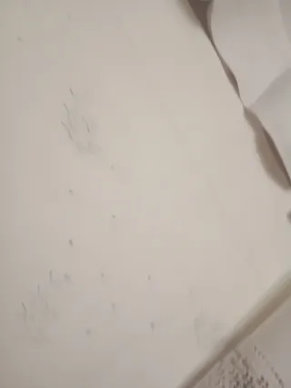 Juego de cama bordado a mano con encaje nuevo