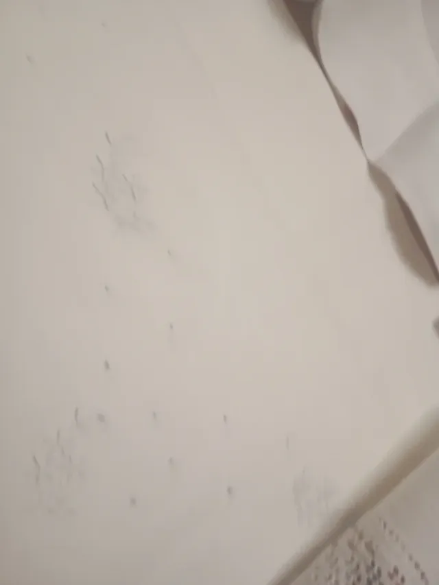 Juego de cama bordado a mano con encaje nuevo