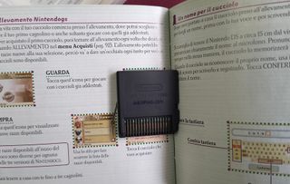 Nintendogs Labrador & Friends Nintendo DS Completo