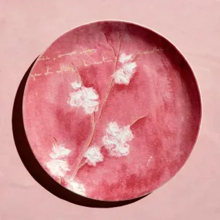 Vista Alegre Bajoplatos y Platos Porcelana,