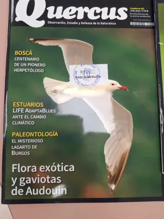 Revista Quercus, 10 números año 2024