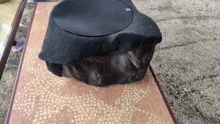 Cajón Subwoofer Focal Volkswagen Corrado