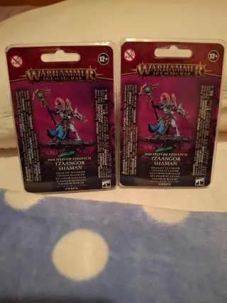 Warhammer Age of Sigmar Tzaangor Shaman