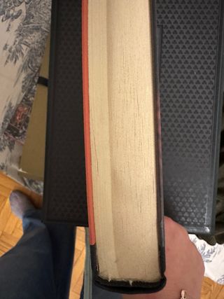 il libro della gioia perpetua