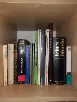 Lote de 16 libros y revistas