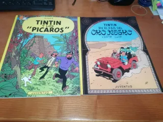 LOTE 12 NÚMEROS LAS AVENTURAS DE TINTÍN (2003)