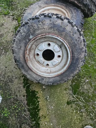 Cubierta Quad AT2 2X10.00-10