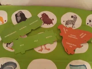 Juego de mesa  y otro de suelo de animales