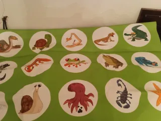 Juego de mesa  y otro de suelo de animales