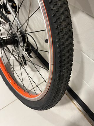 Bicicleta Infantil Trek Wahoo 24