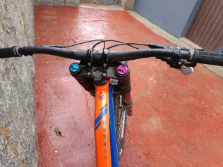 Bicicleta Mondraker Summum DH